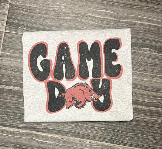 Arkansas Game Day