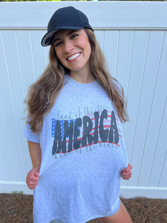 America - Land of the Free, Home of the Brave Shirt